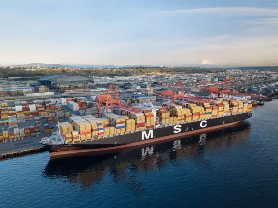 MSC-navio.webp